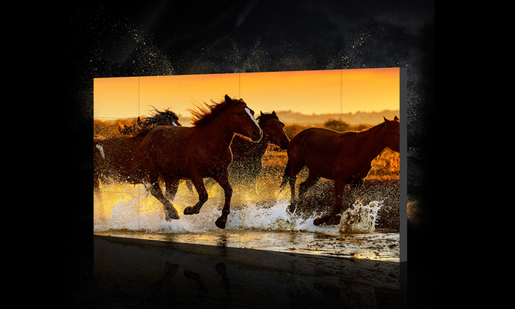 【簽約】深圳市樂華數(shù)碼科技有限公司官網(wǎng)建設